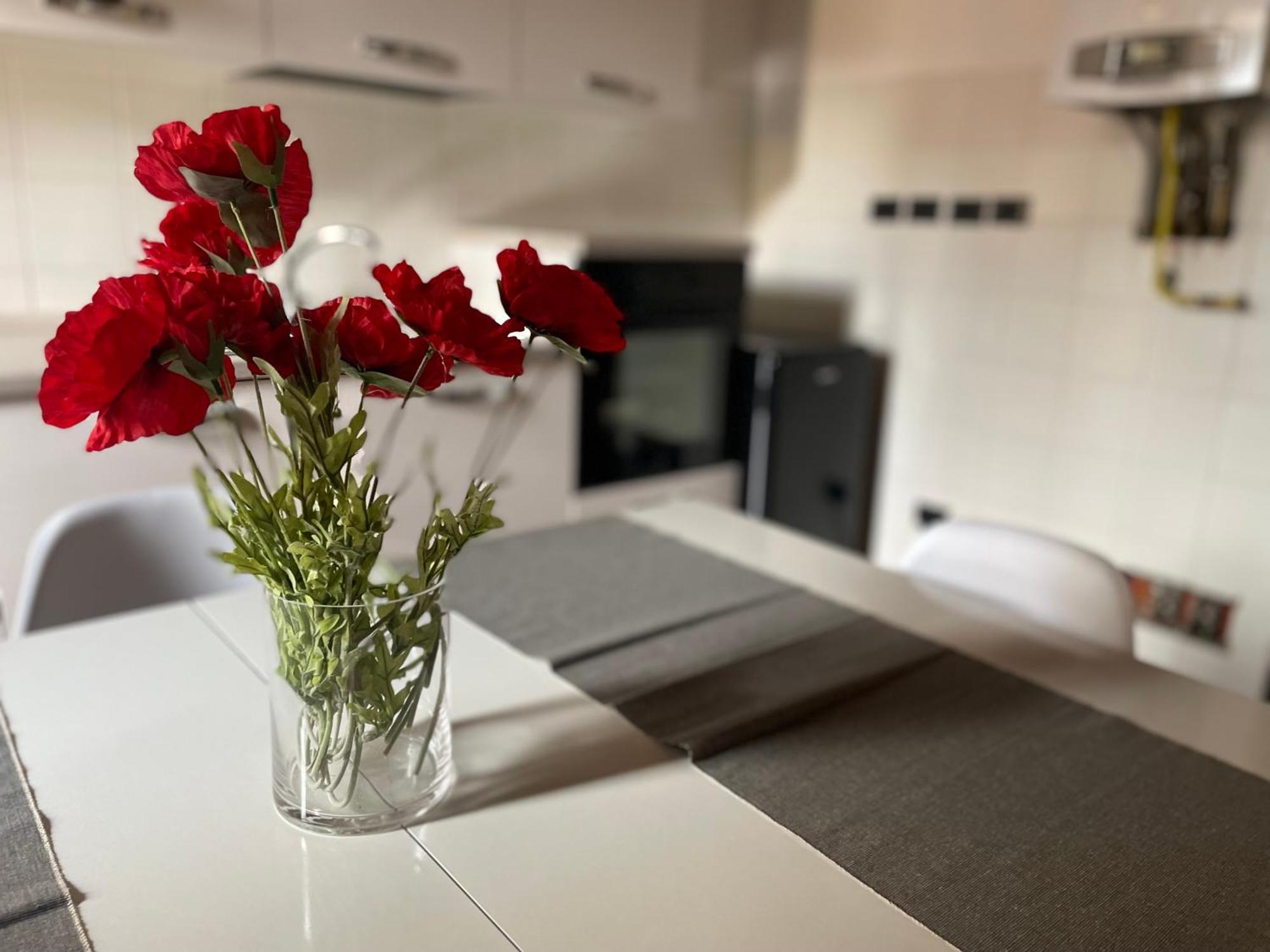 베로나 Scaligeri House 아파트 외부 사진